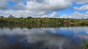 Fleckvieh Guest Farm